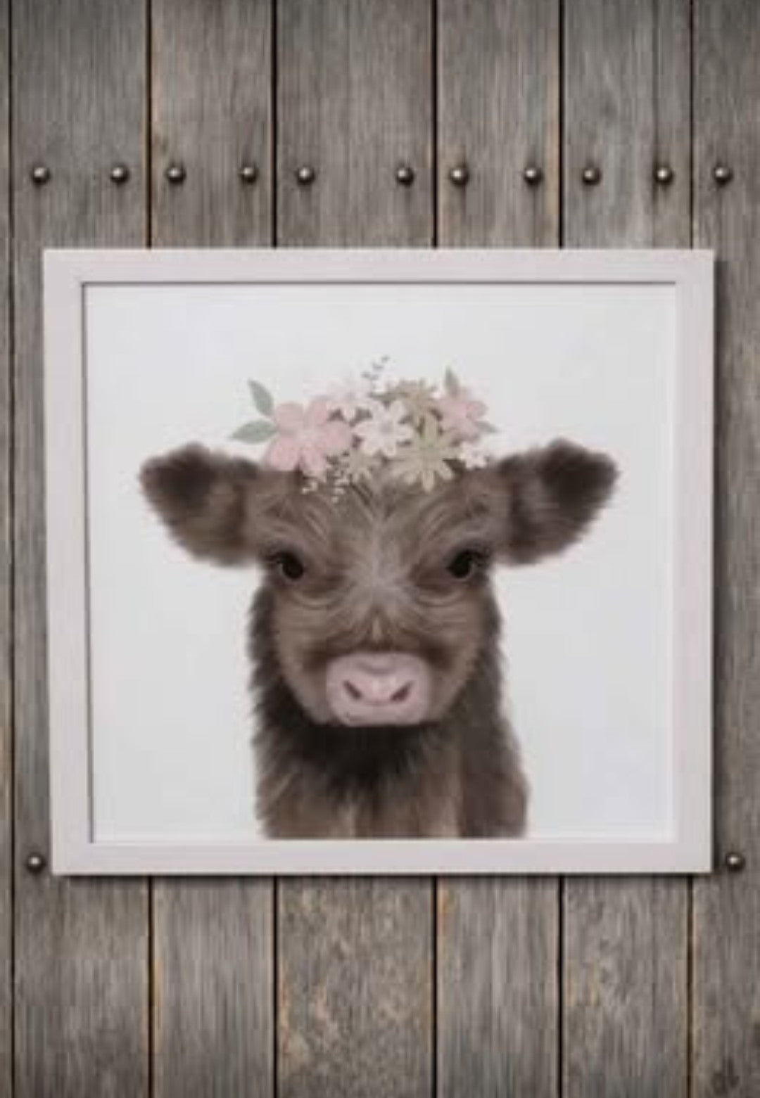 13" X 13" Highland Cow Wall Decor